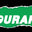 Natural Endurance Plant-Based Protein Chips logo
